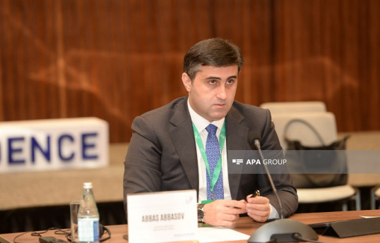 Bakı Təşəbbüs Qrupunun icraçı direktoru Abbas Abbasov