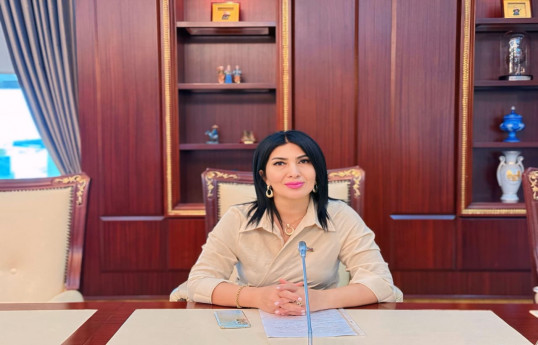 Elnarə Akimova, Milli Məclisin deputatı