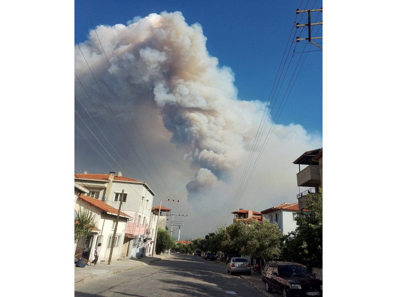 Dənizlidə meşə yanğınları davam edir