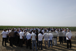“Prime Cotton” Yevlaxda pambıqçılar üçün “Açıq tarla günü” keçirib - FOTO 