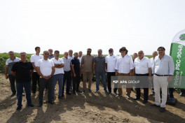 “Prime Cotton” Yevlaxda pambıqçılar üçün “Açıq tarla günü” keçirib - FOTO 