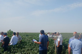 “Prime Cotton” Yevlaxda pambıqçılar üçün “Açıq tarla günü” keçirib - FOTO 