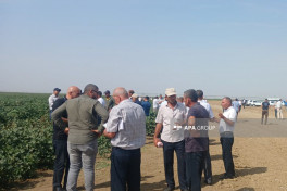 “Prime Cotton” Yevlaxda pambıqçılar üçün “Açıq tarla günü” keçirib - FOTO 