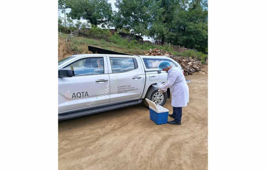 AQTA: Astarada toyda kütləvi zəhərlənməyə evdə hazırlanan qidalar səbəb olub