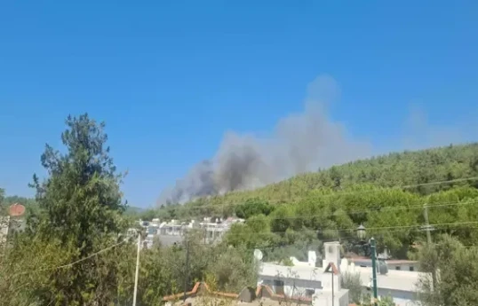 Bodrumda meşə yanır