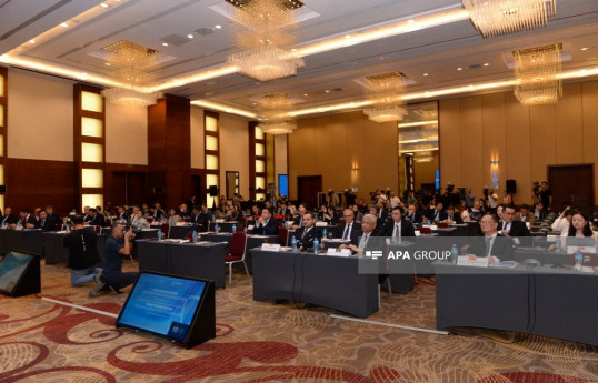 Baş katibi: AQEM-in Bakıda keçirilən forumu mühüm əhəmiyyət kəsb edir