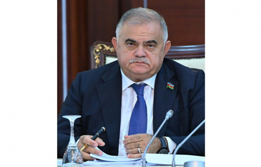 Arzu Nağıyev, Milli Məclisin Müdafiə, təhlükəsizlik və korrupsiya ilə mübarizə komitəsinin sədri