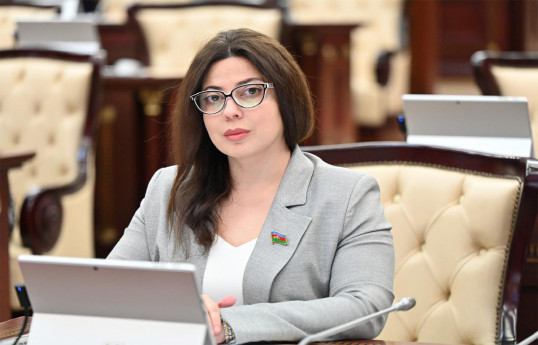 Səbinə Salmanova, Milli Məclisin deputatı