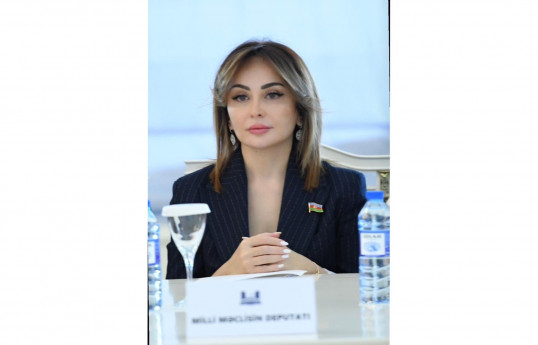 Deputat: Dövlətin reallaşdırdığı sosial layihələr rifahın yaxşılaşmasına xidmət edir