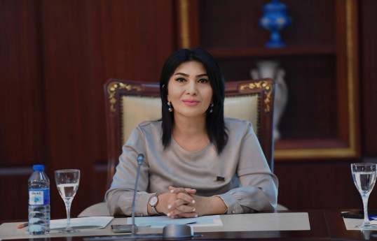 Elnarə Akimova: Ədəbiyyatımız tədrisdə daha geniş yer almalıdır