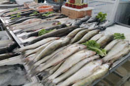 Bakıda balıq yarmarkası fəaliyyətə başlayıb