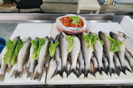 Bakıda balıq yarmarkası fəaliyyətə başlayıb