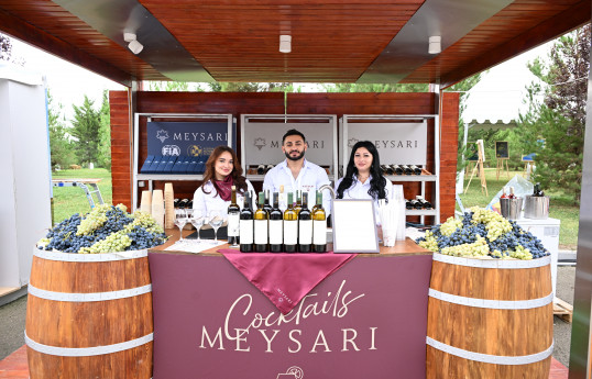 Şamaxıda Üzüm və Şərab Festivalı başlayır - FOTO 