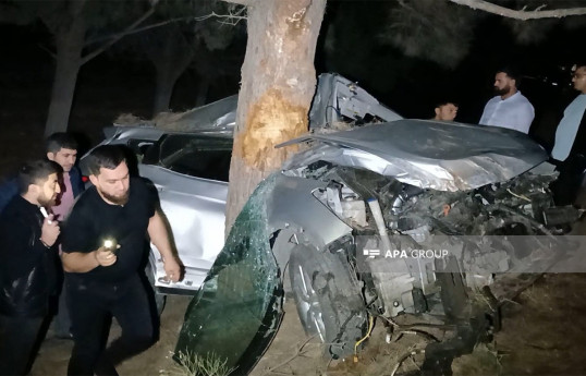 Şəmkirdə həkimin idarə etdiyi  avtomobil ağaca çırpılıb, 2 nəfər ölüb - YENİLƏNİB-2  - FOTO 