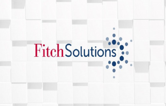 Fitch Solutions: Azərbaycanın xarici siyasəti Qarabağ qələbəsindən sonra daha da güclənib