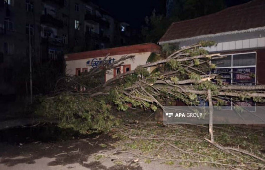 Lənkəranda əsən güclü külək rayon ərazisində bir sıra fəsadlar törədib - FOTO 
