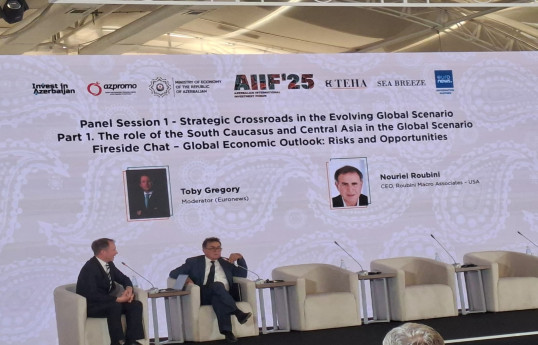 Nouriel Roubini: Azərbaycan regionda sabitliyin və yaxşı idarəçiliyin modelidir