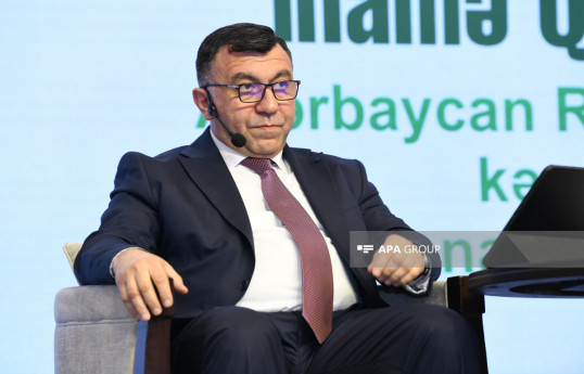 Səməd Bəşirli: Neft-qaz sektorunda əsas məqsədimiz diversifikasiyadır