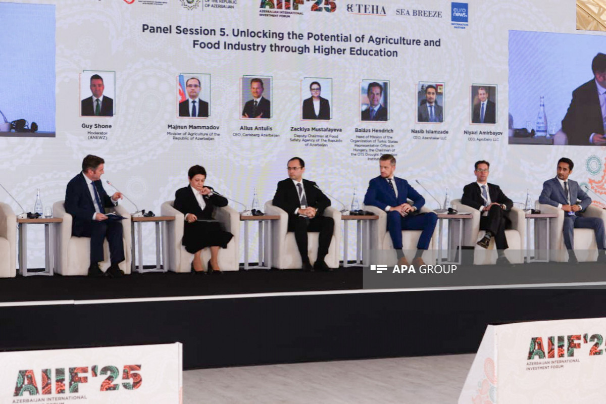 Nikolaas Alberts: Azərbaycanda bir çox layihələr həyata keçirmək olar