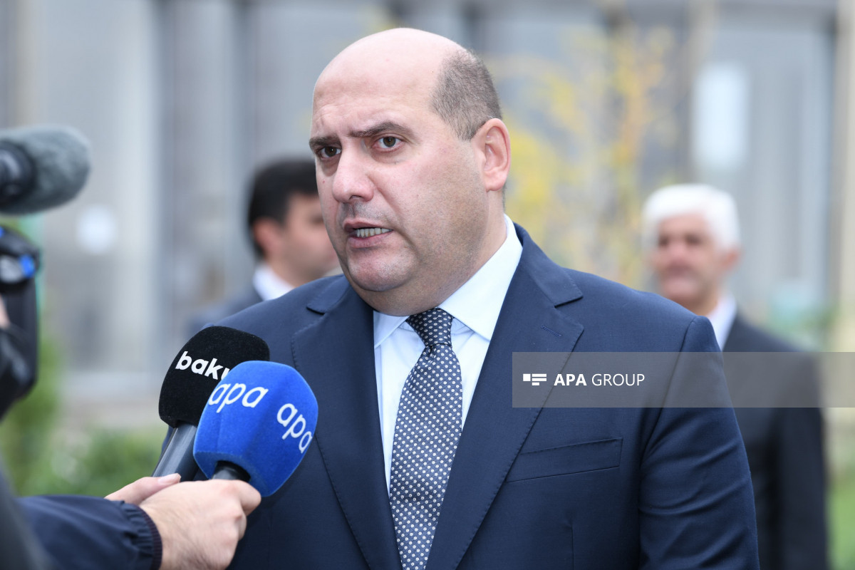 Xüsusi nümayəndə: Qarabağın hər bölgəsinin özünəməxsus potensialı var