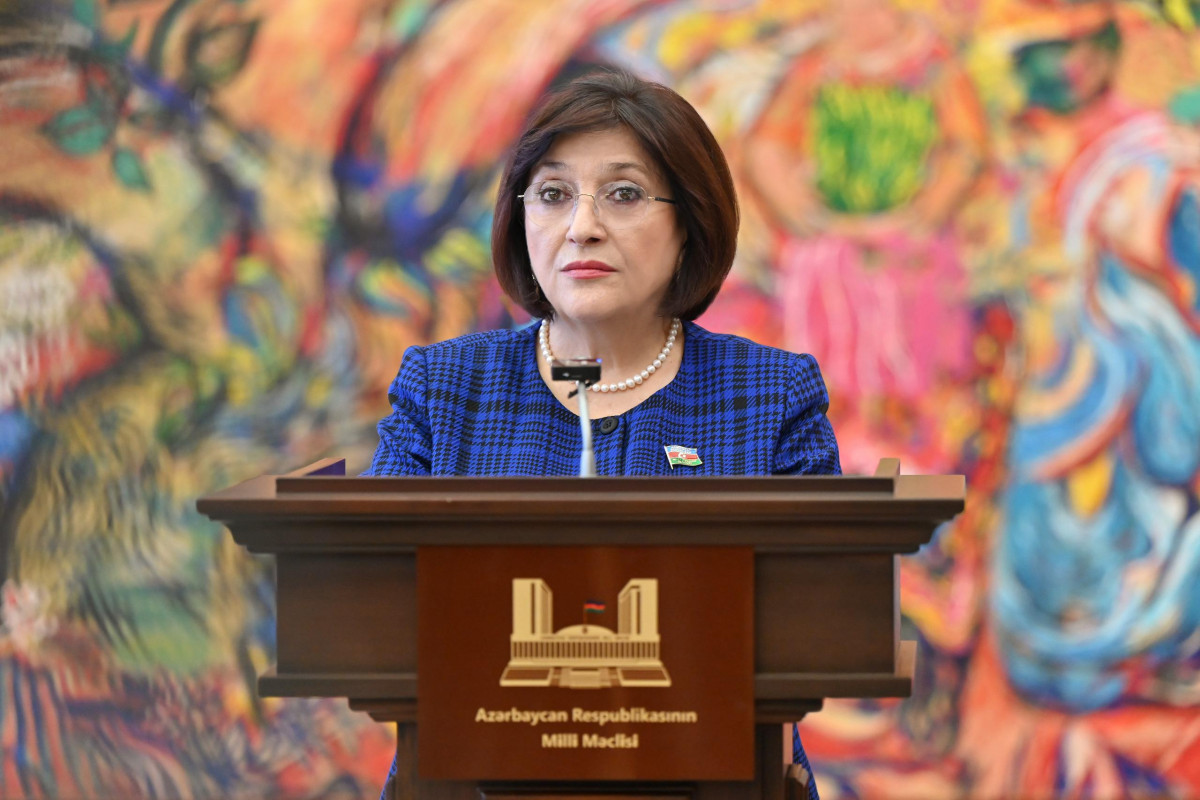 Sahibə Qafarova: Azərbaycan-Serbiya əlaqələri çox əhəmiyyətli xarakter daşıyır