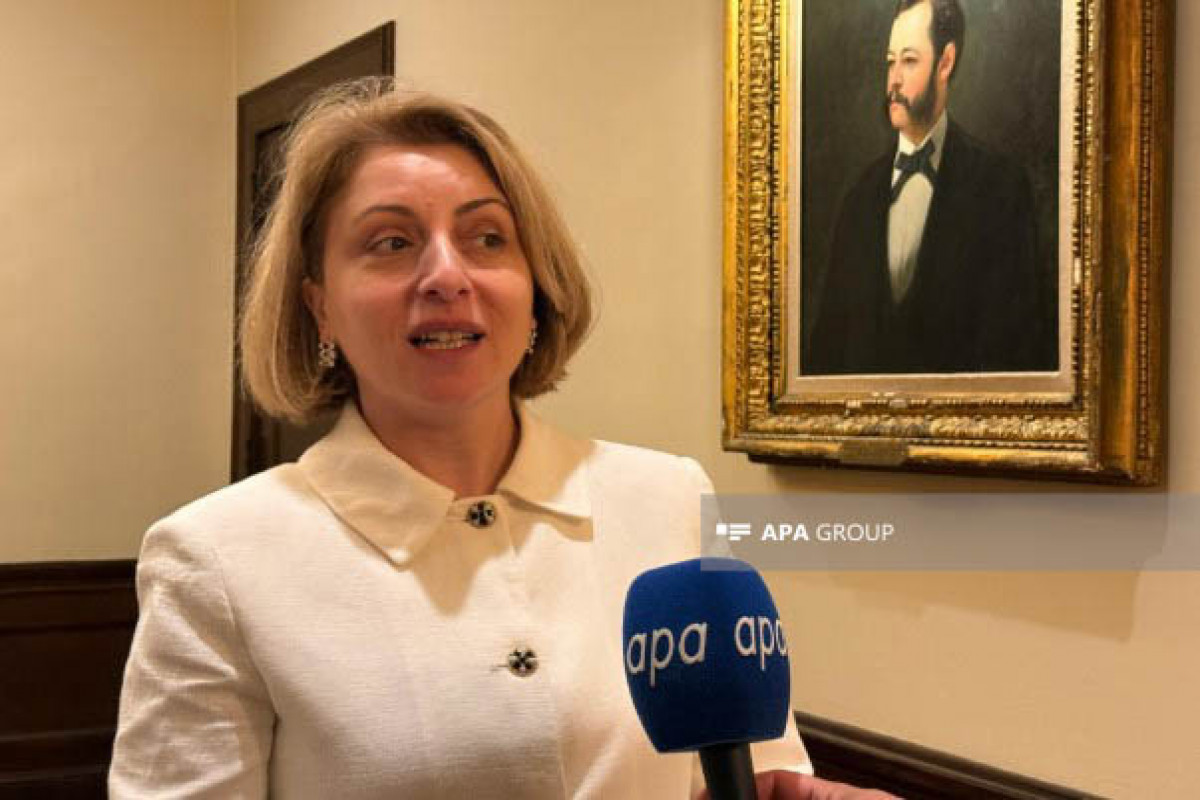 Eka Tkeşelaşvili: Prezident İlham Əliyevin liderliyi bütün dünyada yüksək qiymətləndirilir