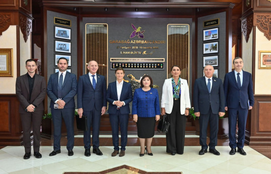 Sahibə Qafarova Serbiya Milli Assambleyasının sədri ilə görüşüb