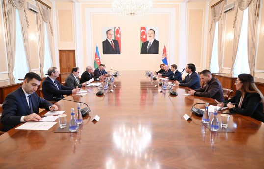 Əli Əsədov Serbiya Milli Assambleyasının sədri ilə görüşüb
