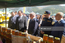 Kəlbəcərdə Bal Festivalı keçirilir - FOTO  - VİDEO 