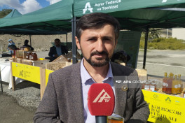 Elvin Bayramlı