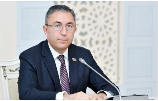 Deputat: Uğurlu iqtisadi diplomatiyamız siyasi və iqtisadi müstəqilliyimizi daha da möhkəmləndirəcək