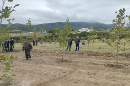 Xocalıda ağacəkmə aksiyası keçirilib - FOTO 