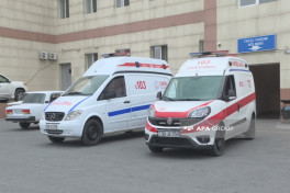Şəkidə 65 yaşlı kişi qoz ağacından yıxılaraq ölüb - FOTO 
