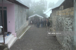 Şəkidə 65 yaşlı kişi qoz ağacından yıxılaraq ölüb - FOTO 