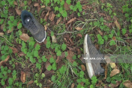 Şəkidə 65 yaşlı kişi qoz ağacından yıxılaraq ölüb - FOTO 