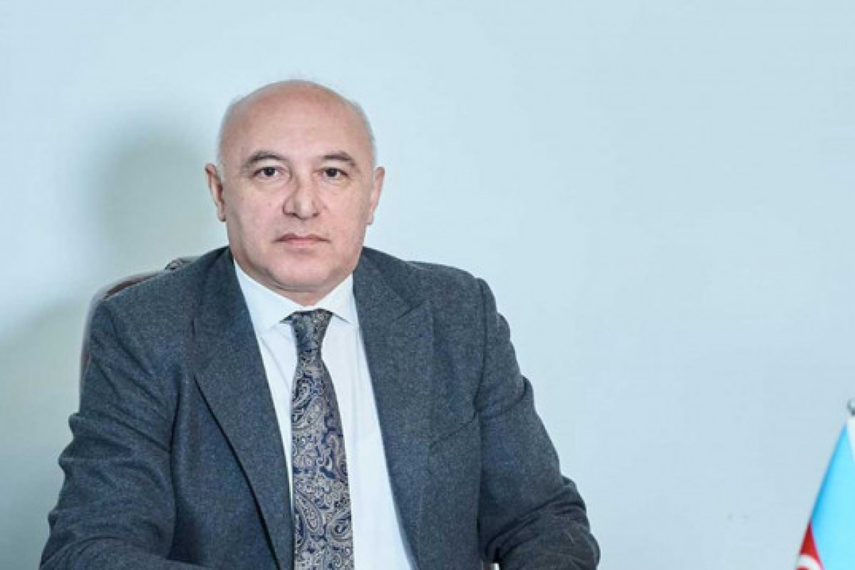 Arzuxan Əlizadə yenidən AMİP sədri seçilib