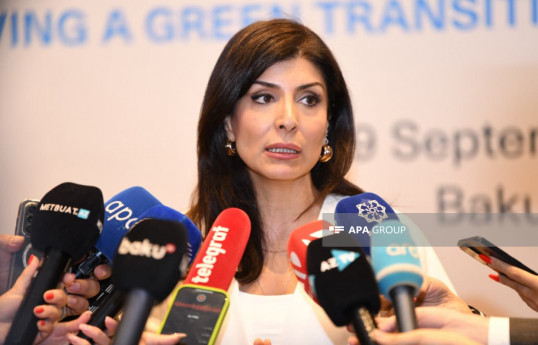 Nigar Arpadarai : İqlim Fəaliyyəti Həftəsində 46-dan çox sessiya keçiriləcək