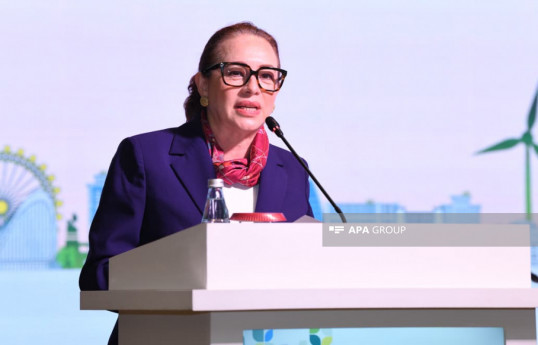 Ekvadorun xarici işlər naziri : COP29-dakı liderlik bu gün COP30 hazırlıqlarında görünür