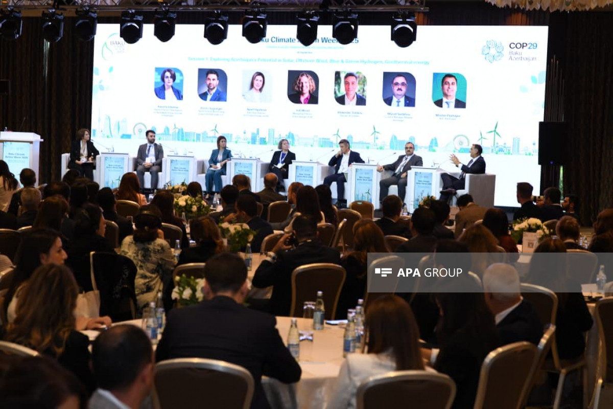 İcraçı direktor: Azərbaycanda geo-termal resursların tədqiqinə ehtiyac var