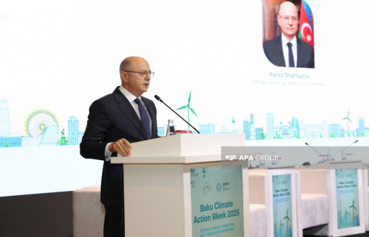 Nazir yaşıl enerji dəhlizlərinə dair əsas prioritetləri açıqlayıb