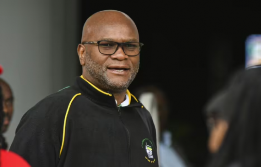 Cənubi Afrika Respublikasının Fransadakı səfiri Nkosinathi Emmanuel Mthethwa