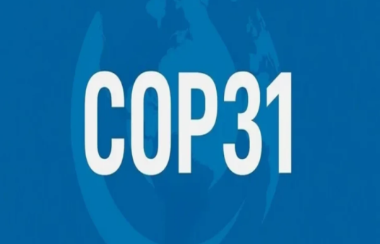 Türkiyənin Vitse-prezidenti TDT-yə üzv dövlətləri COP31-ə dəvət edib