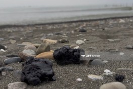 Lənkəranda dəniz sahilində mazut tullantılarına rast gəlinir - FOTO 
