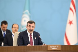Bakıda TDT hökumət başçılarının görüşü keçirilib, birgə bəyanat qəbul edilib - YENİLƏNİB-1 