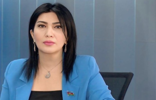 Elnarə Akimova, Milli Məclisin deputatı