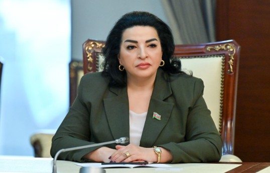 Fatma Yıldırım, Milli Məclisin Təbii ehtiyatlar, energetika və ekologiya komitəsinin sədr müavini