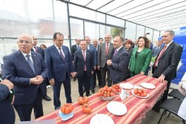 “Regionlarda peşə təhsili: imkanlar və perspektivlər” mövzusunda Təhsil Forumu keçirilib