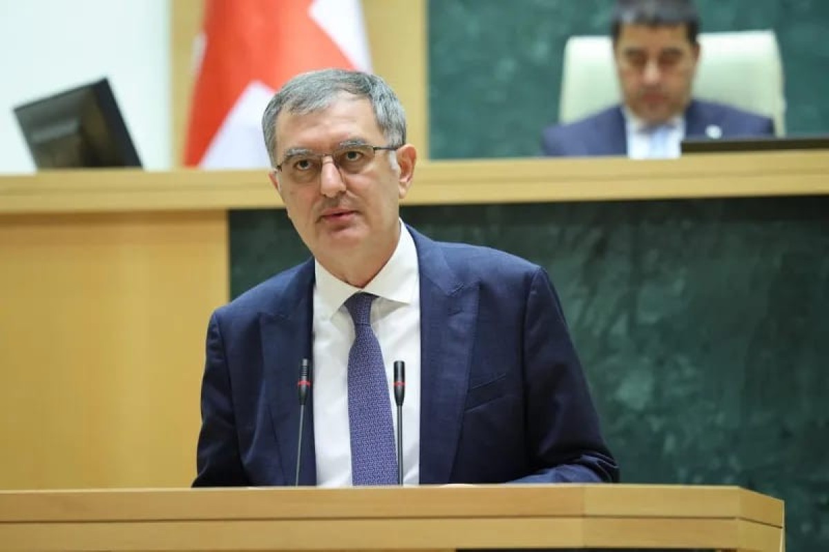 Gürcüstan parlamentinin sədr müavini Sozar Subari