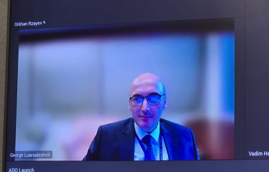 Asiya İnkişaf Bankının (ADB) Qafqaz, Mərkəzi və Qərbi Asiya üzrə baş iqtisadçısı George Luarsabishvili