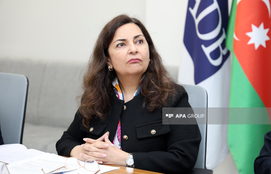 ADB-nin Azərbaycandakı nümayəndəliyinin rəhbəri Sunniya Durrani-Camal